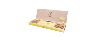 Trinidad Short Humidor Year of the Dragon