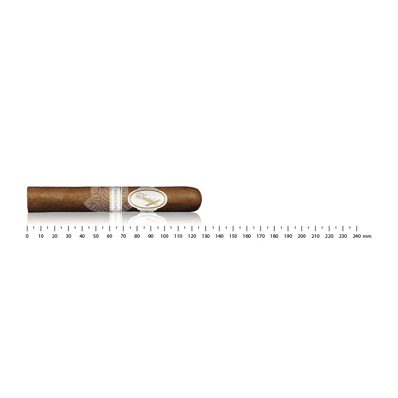 Davidoff Signature 6000