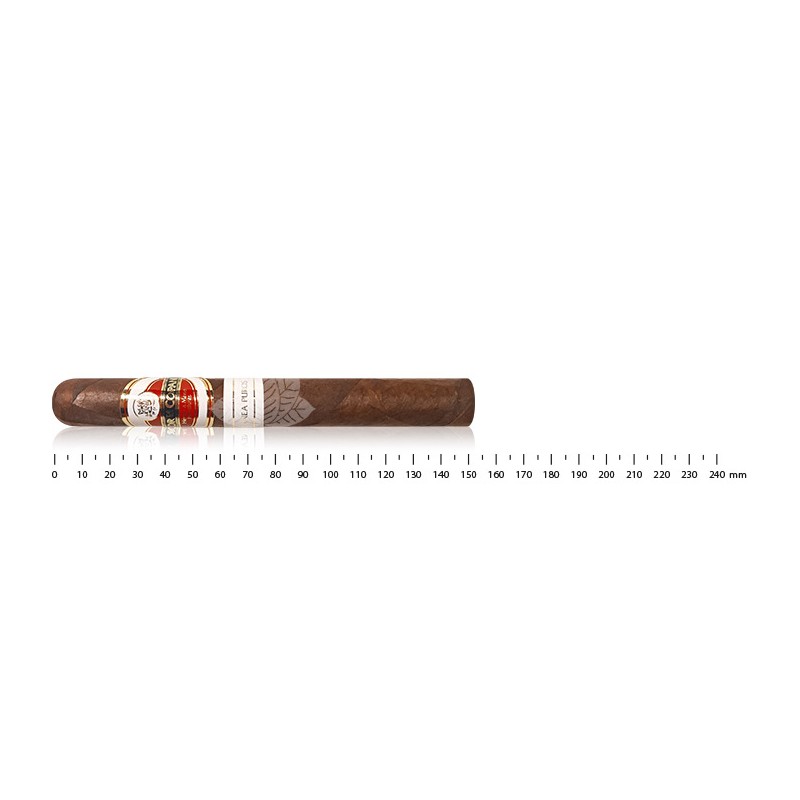 Flor De Copan Linea Puros Corona