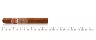 Romeo y Julieta Belvederes