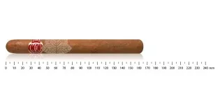 Arturo Fuente Curly Head Deluxe