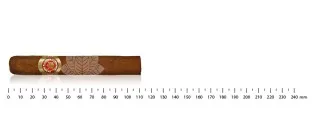 Ramon Allones Small Club...