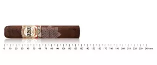 Casa Magna Maduro Robusto
