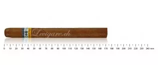 Cohiba Siglo V AT (3)