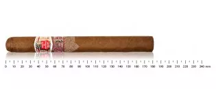 Hoyo de Monterrey Escogidos (lcdh)