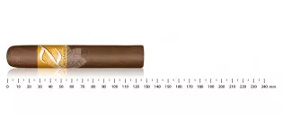 Zino Nicaragua Robusto