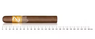 Zino Nicaragua Toro