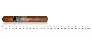 Asylum 13 Robusto