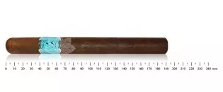 Merchant Double Corona