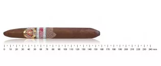 Ramon Allones Perfecto Regional Edition  Mexico 2020
