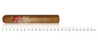 Hiram & Solomon Shriner Gran Toro