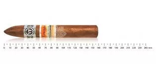 Vega Fina Nicaragua Puro Origen