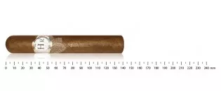 HR Robaina - White Line Robusto Gordo