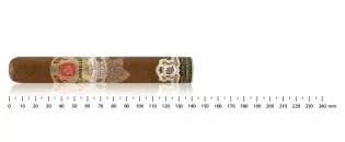 E.P.CARRILLO 20 Anniversary Ceremonias