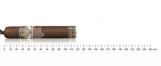 Balmoral Anejo XO Petit Robusto