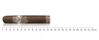 Balmoral Anejo XO Rothschild Massivo