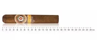 Alec Bradley Coyol Gordo