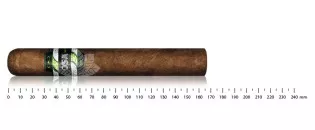 CAO OSA Lot 58