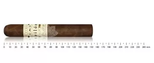 CAO Pilon Toro
