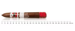 Flor de Copan LP Piramides San Jose