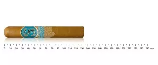 Matilde Serena Robusto