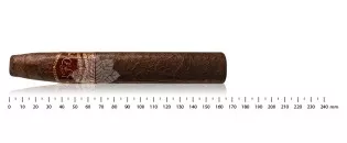 La Flor Dominicana Capitulo II