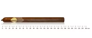 Cavalier Genève Lancero