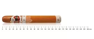 Flor de Copan Monarcas AT