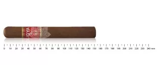 Joya RED Toro