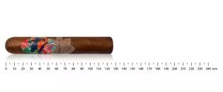 Gecko Robusto 52 by Lecigare