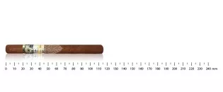 Cohiba Panetelas (5)