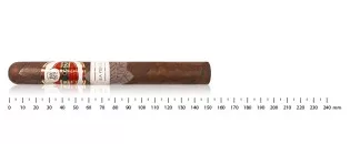 Flor De Copan Linea Puros Corona